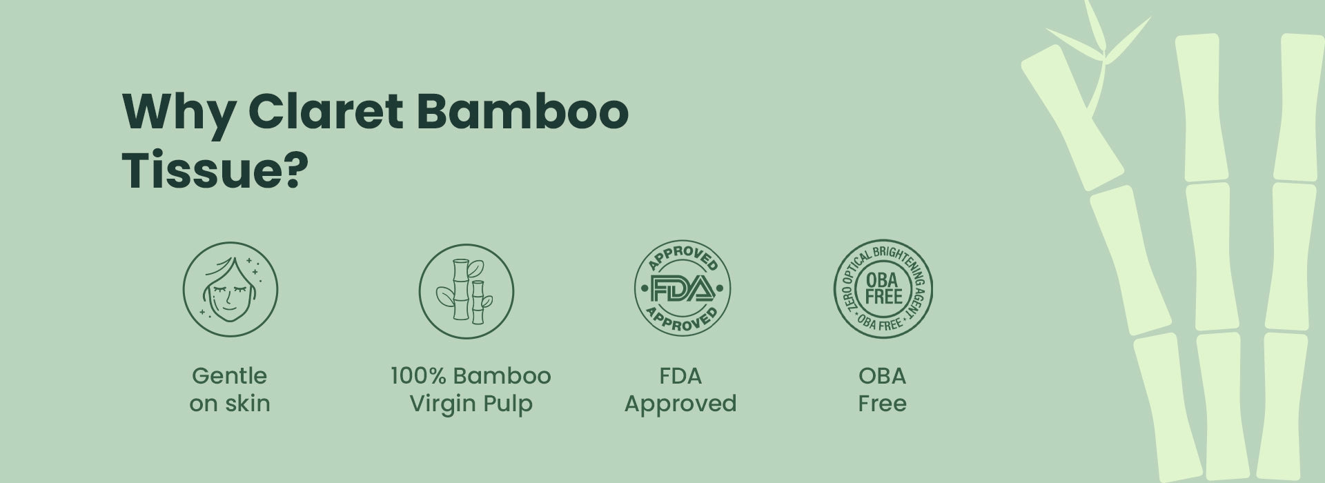 files/Why-Bamboo-Banner.webp